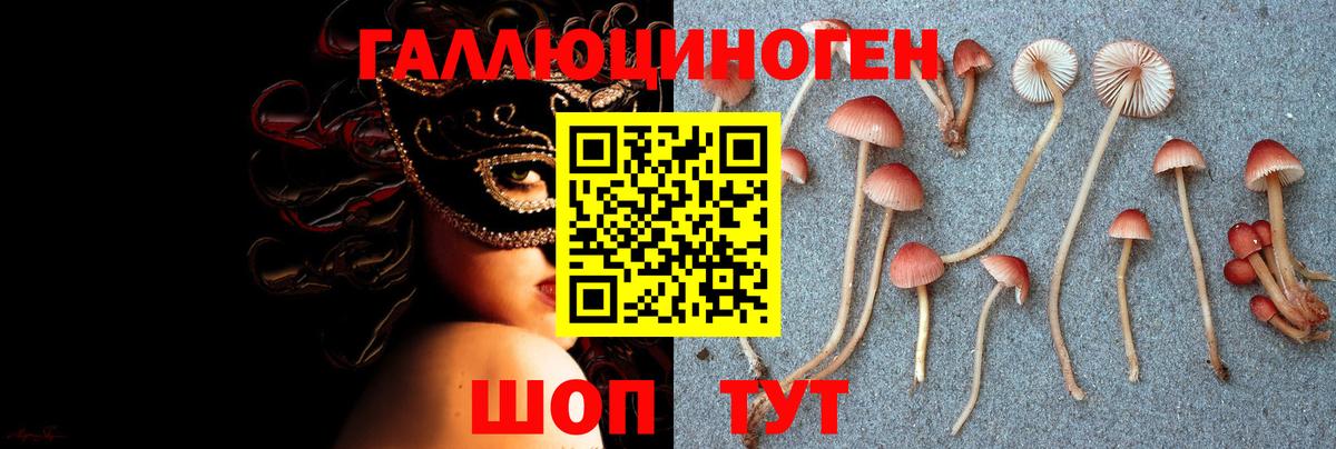 Йошкар-Ола  МЕТ  Вход с VPN  Alpha PVP СК   Мефедрон   Метадон  ГАШ  Бошки Шишки  МАРИХУАНА  COCAIN 